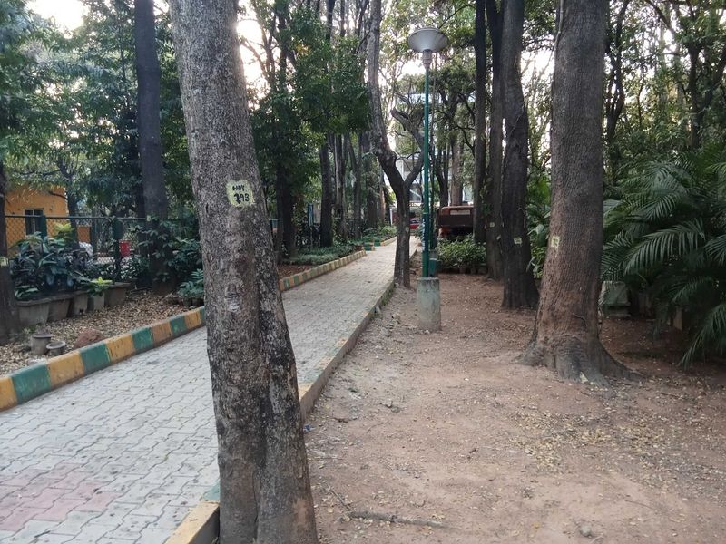 Explained: How Bengaluru is losing its green cover to infrastructure projects