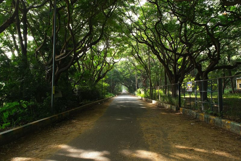 Stop Hebbal Short Tunnel project: 20,000 residents and activists sign petition