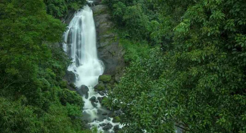 കാറ്റിന് പോലും കാപ്പിയുടെ മണമുള്ള കാപ്പിമലയുടെ വിശേഷങ്ങൾ എന്തെല്ലാം?
