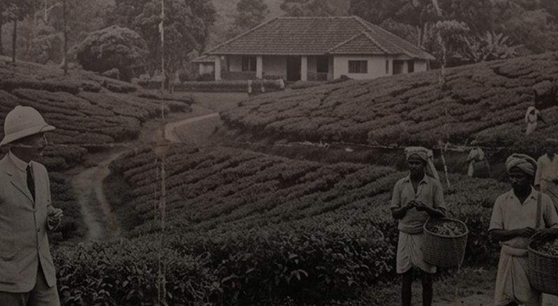 തോട്ടംഭൂമി: 1970ലെ റിപ്പോർട്ട് കുഴിച്ചുമൂടിയത് ആര് ?