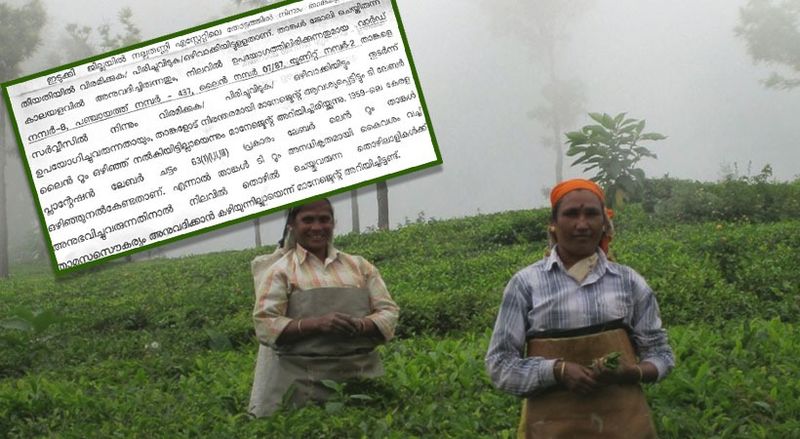 മൂന്നാറിലെ തൊഴിലാളികൾക്ക് ടാറ്റയുടെ കുടിയിറക്കൽ നോട്ടീസ്