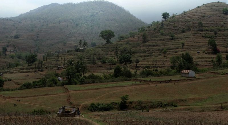 അട്ടപ്പാടിയിലെ ആദിവാസി ഭൂമി കേസിൽ നിർണ്ണായക ഉത്തരവ്