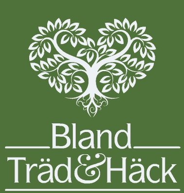 Bland Träd och Häck