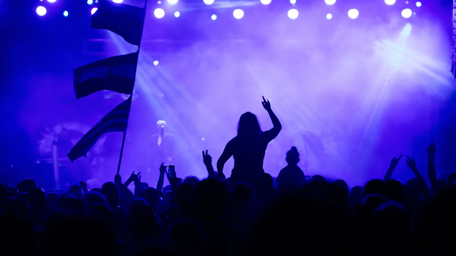Silhouetten eines Konzertpublikums vor blau und violett beleuchteter Bühne
