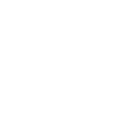 Les Puces du Canal