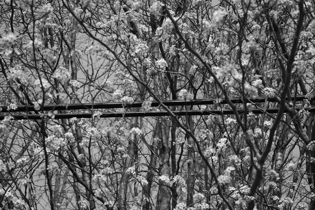 photos%2Fresized%2Fresized_collection_1725029079094_1725029097207_color%20was%20the%20thing%20(9).jfif?alt=media&token=5caa77b2-97fd-47f5-b1eb-4dc95f7bb6e2