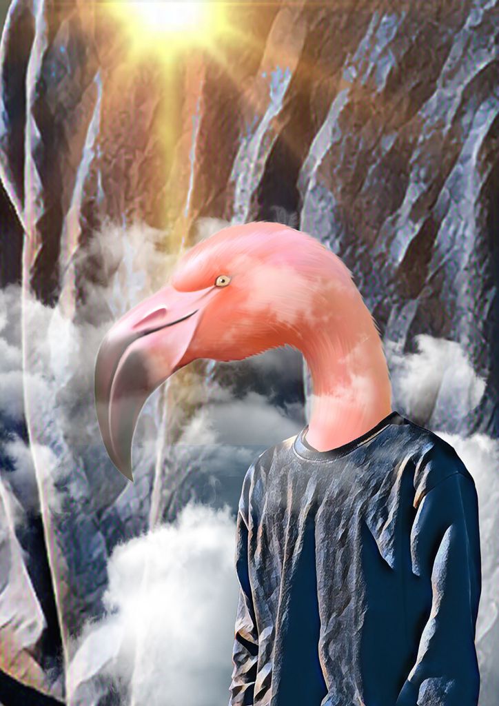 photos%2Fresized%2Fresized_collection_1725029625949_1725029667799_meaninglessartsaregoingon%202%20with%20plamingo.jpg?alt=media&token=cf510949-a277-46c2-b004-2b8dea4f9e57