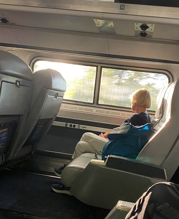 photos%2Fresized%2Fresized_collection_1725072163590_1725072164887_train.PNG?alt=media&token=61fd7763-99fc-4818-a8f8-b8b947628e77