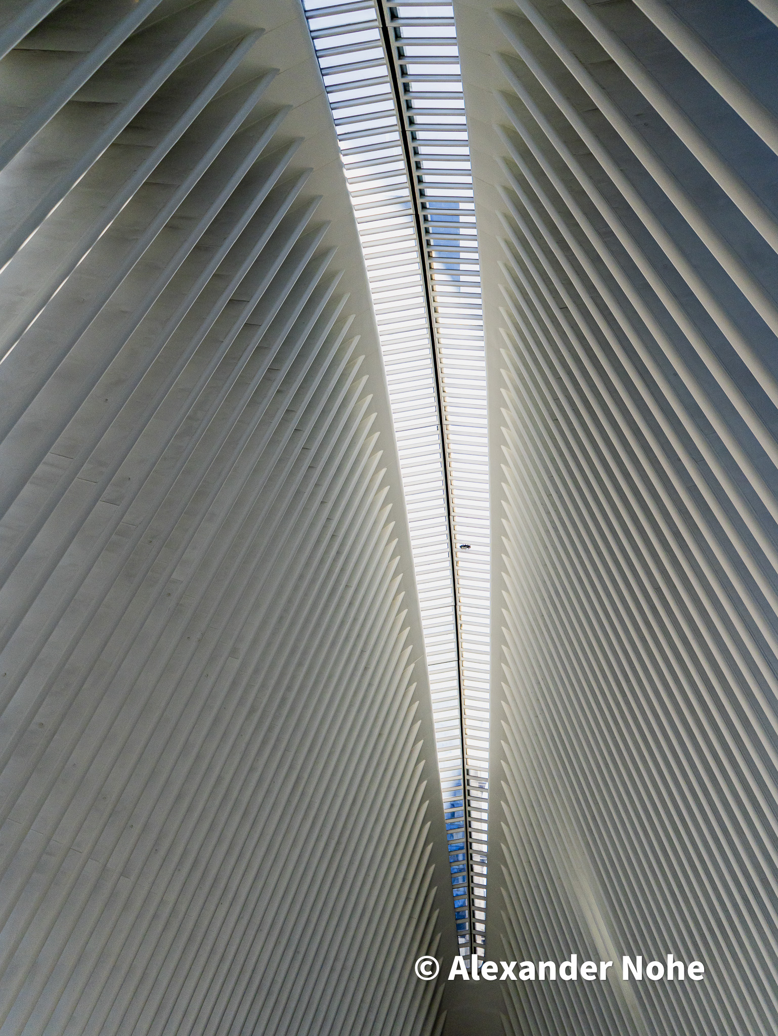 Interior view of the Oculus hub's white ribbed ceiling