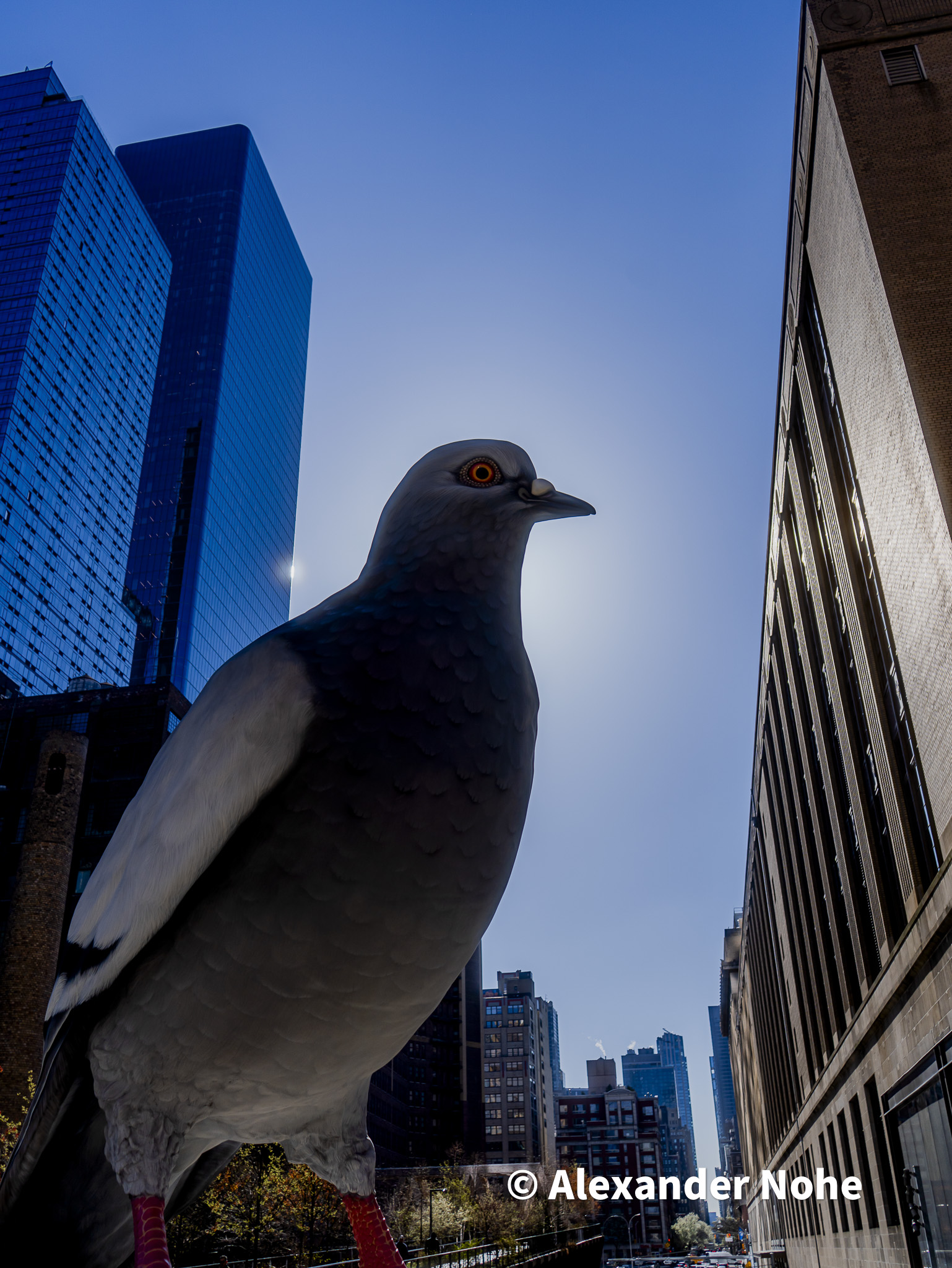 Giant pigeon statue by Ivan Argote on the High Line