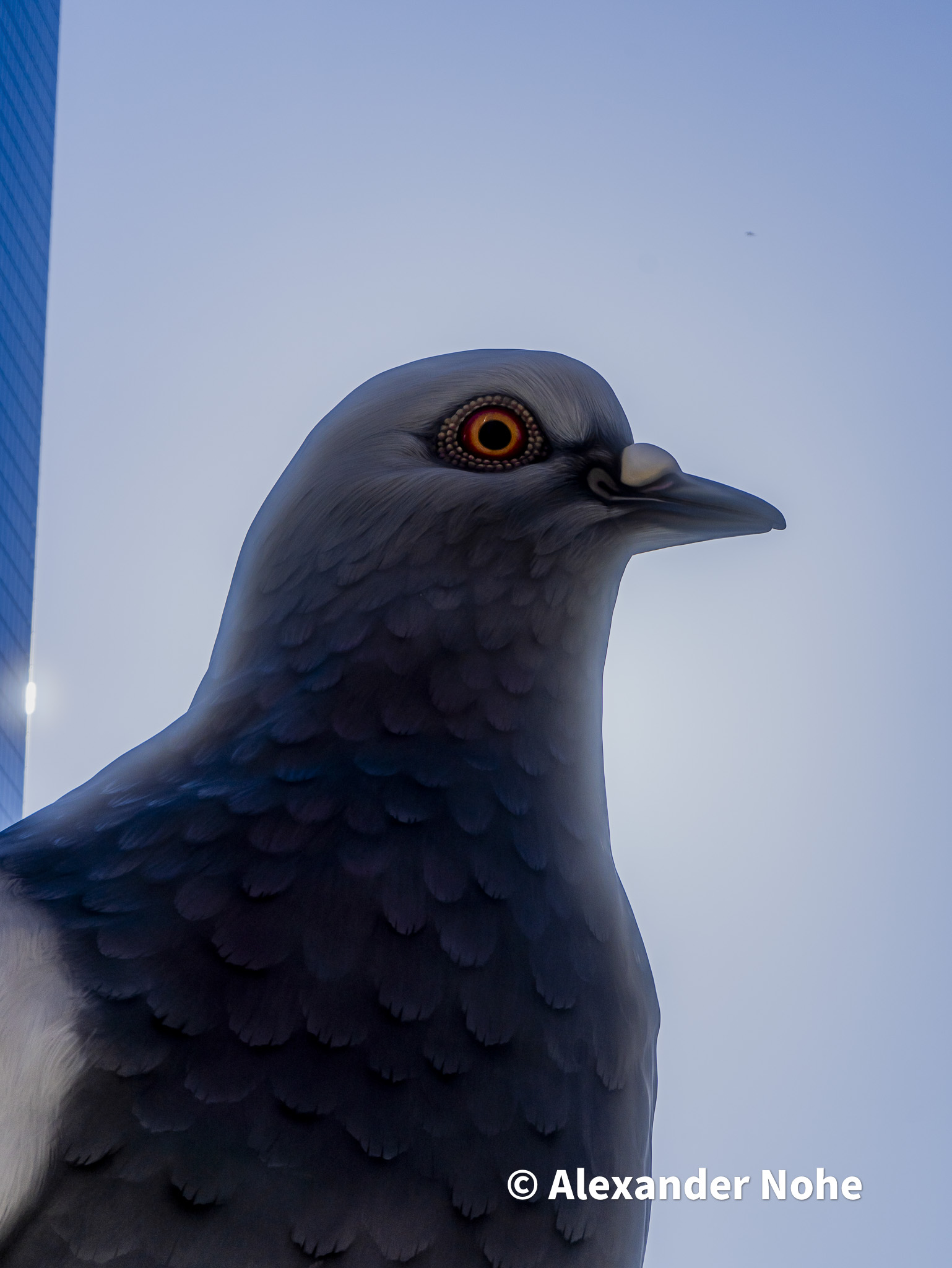 Close-up profile of the giant pigeon statue's head