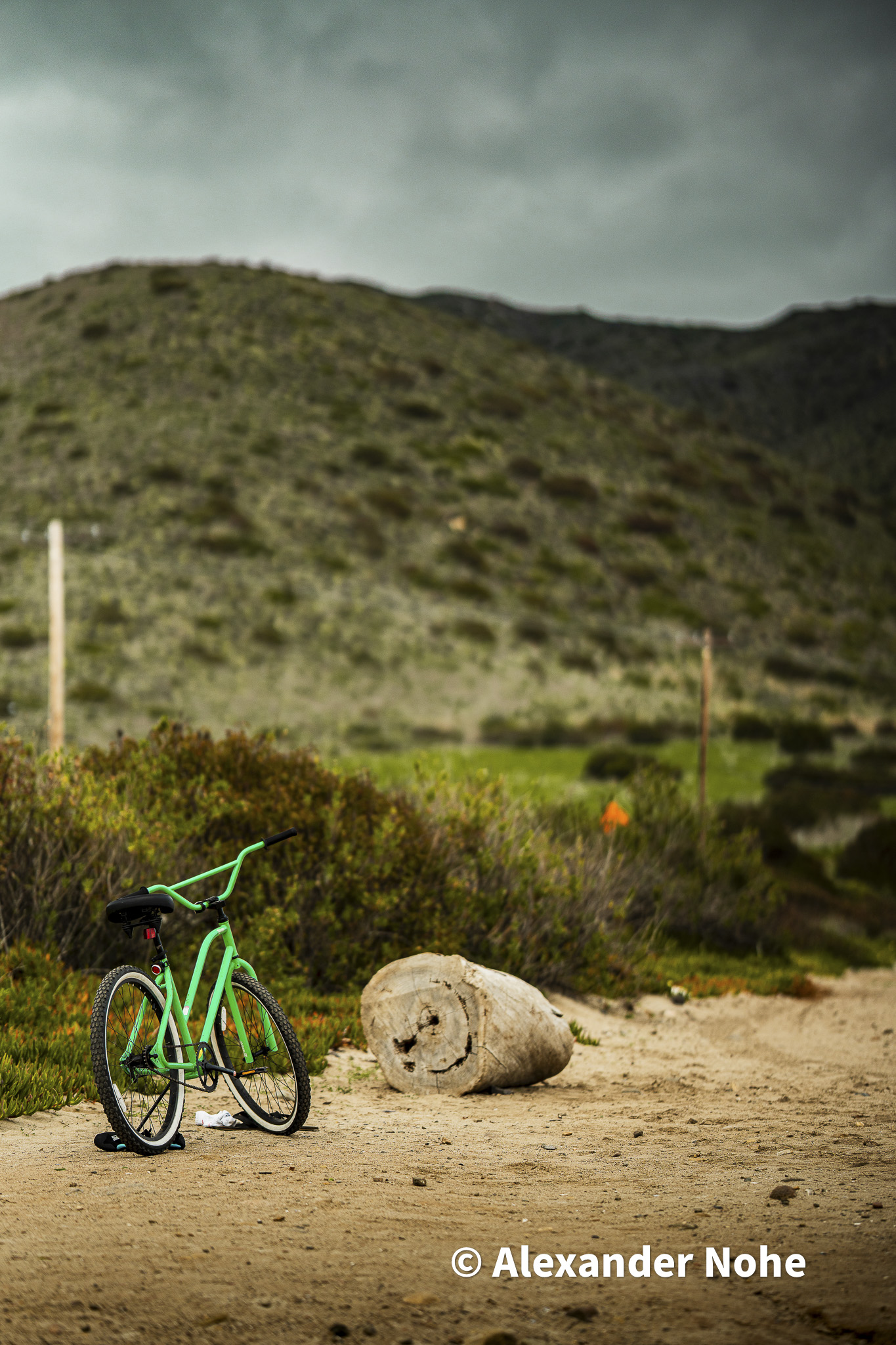 A lime green bicycle leaned against driftwood on a sandy coastal path