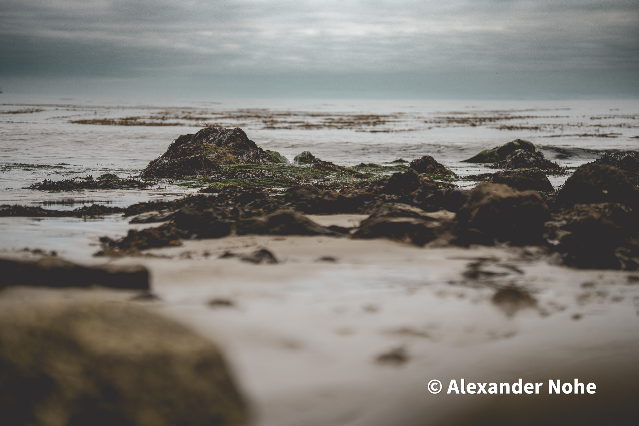 Landscape of a rocky beach at low tide with scattered seaweed