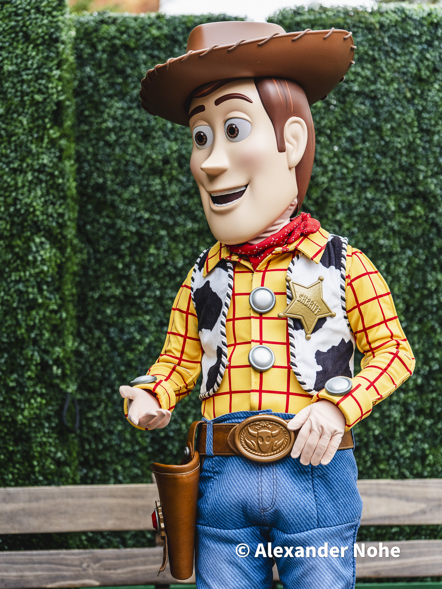 Woody