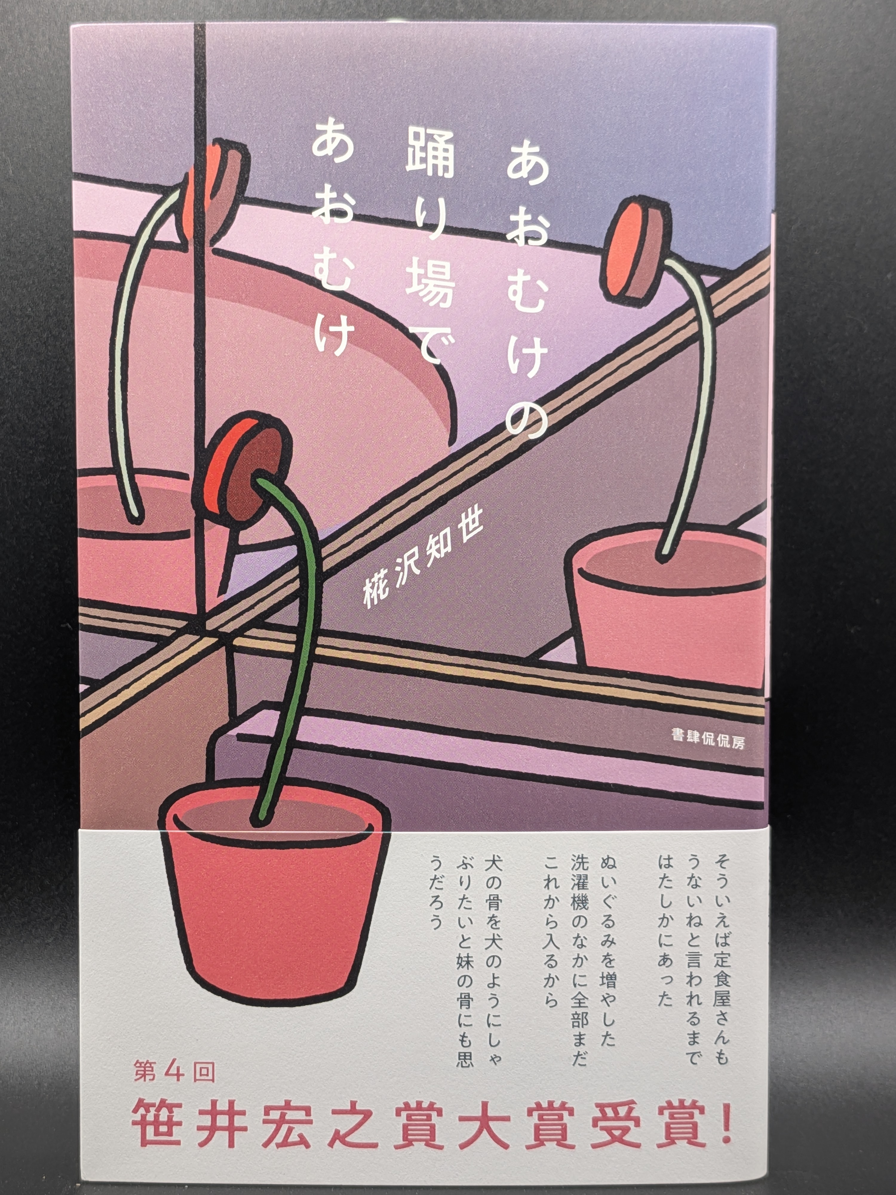 椛沢知世『あおむけの踊り場であおむけ』現代文学 私小説 エッセイ 独特の言葉が誘う思考の迷宮 書肆侃侃房 表紙