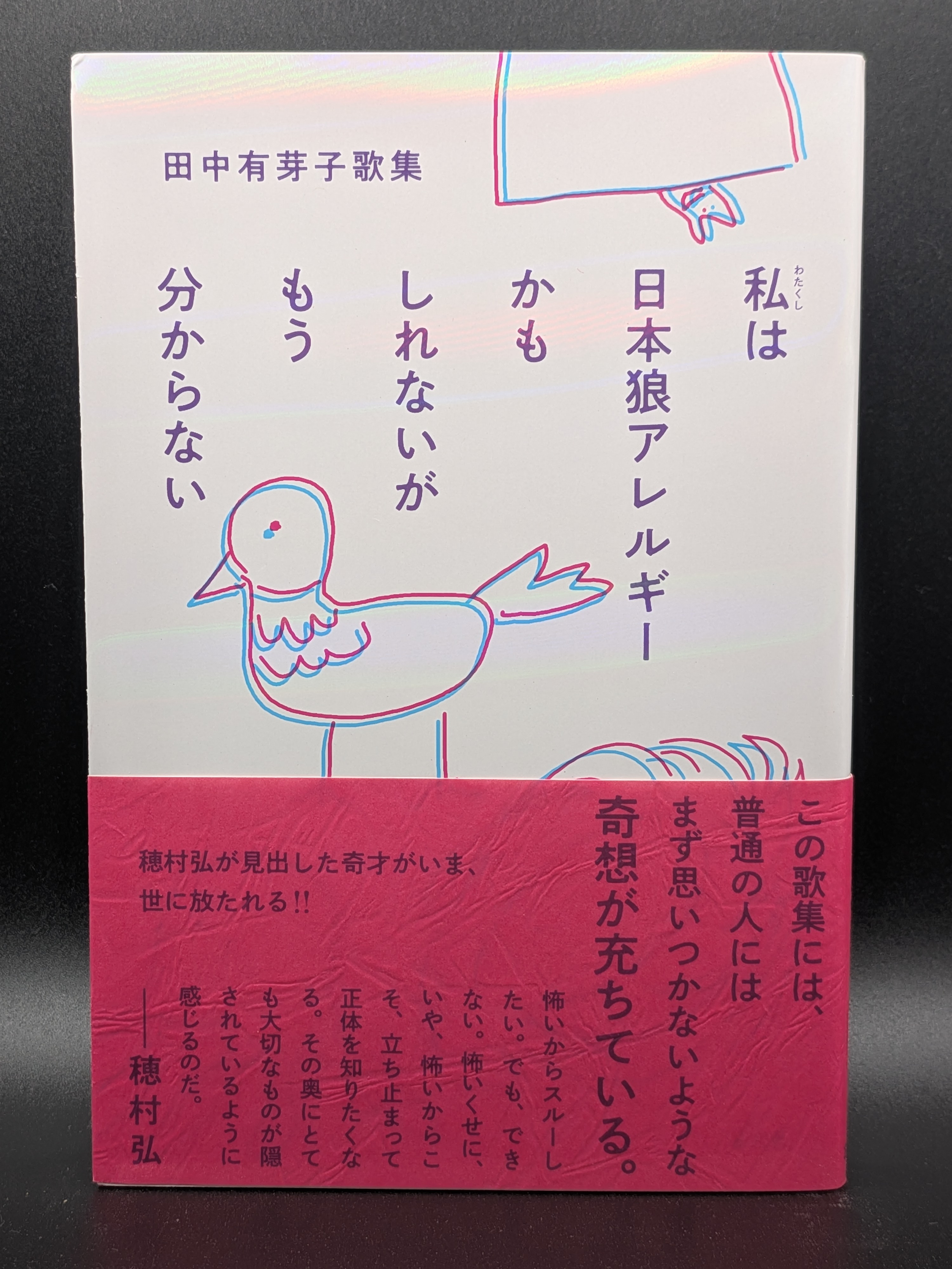 田中有芽子 私は日本狼アレルギーかもしれないがもう分からない 現代文学 エッセイ集 表紙
