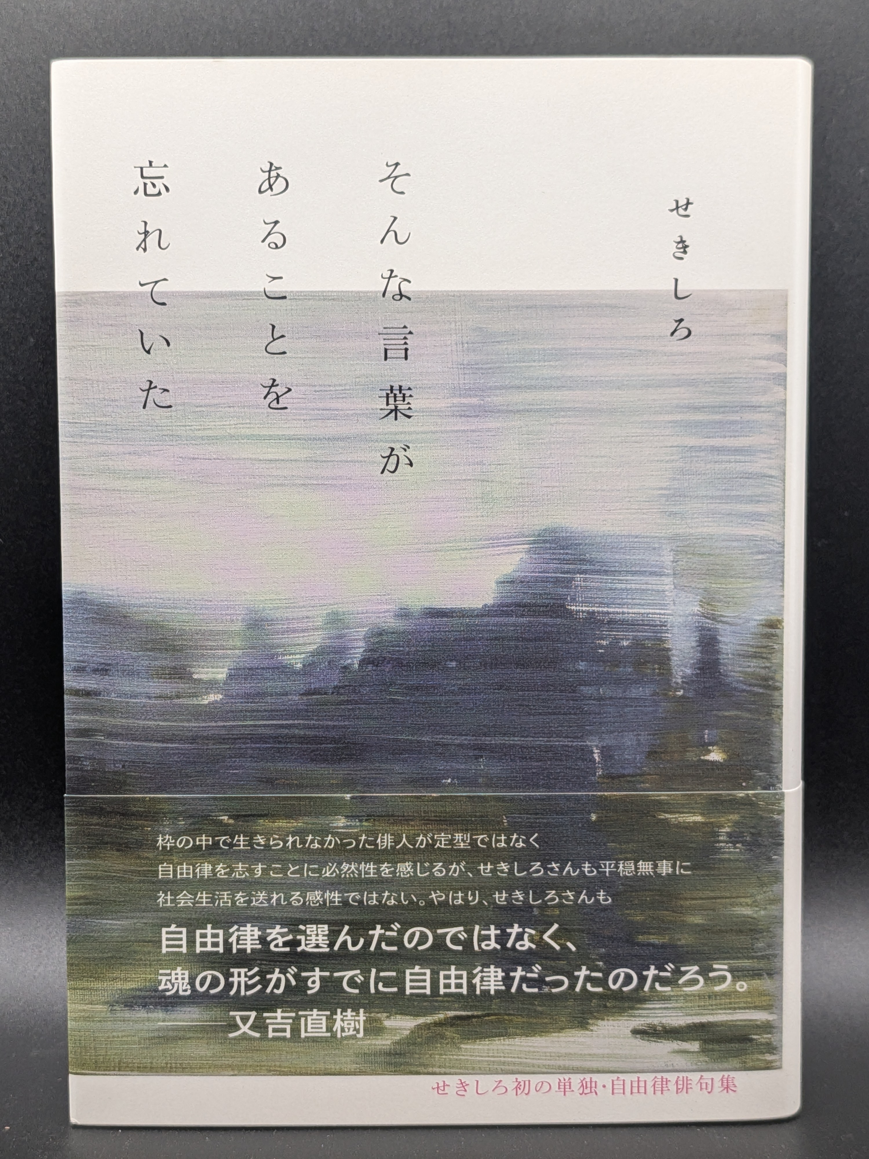 せきしろ そんな言葉があることを忘れていた 日常のささやかな発見 エッセイ 随筆集 表紙