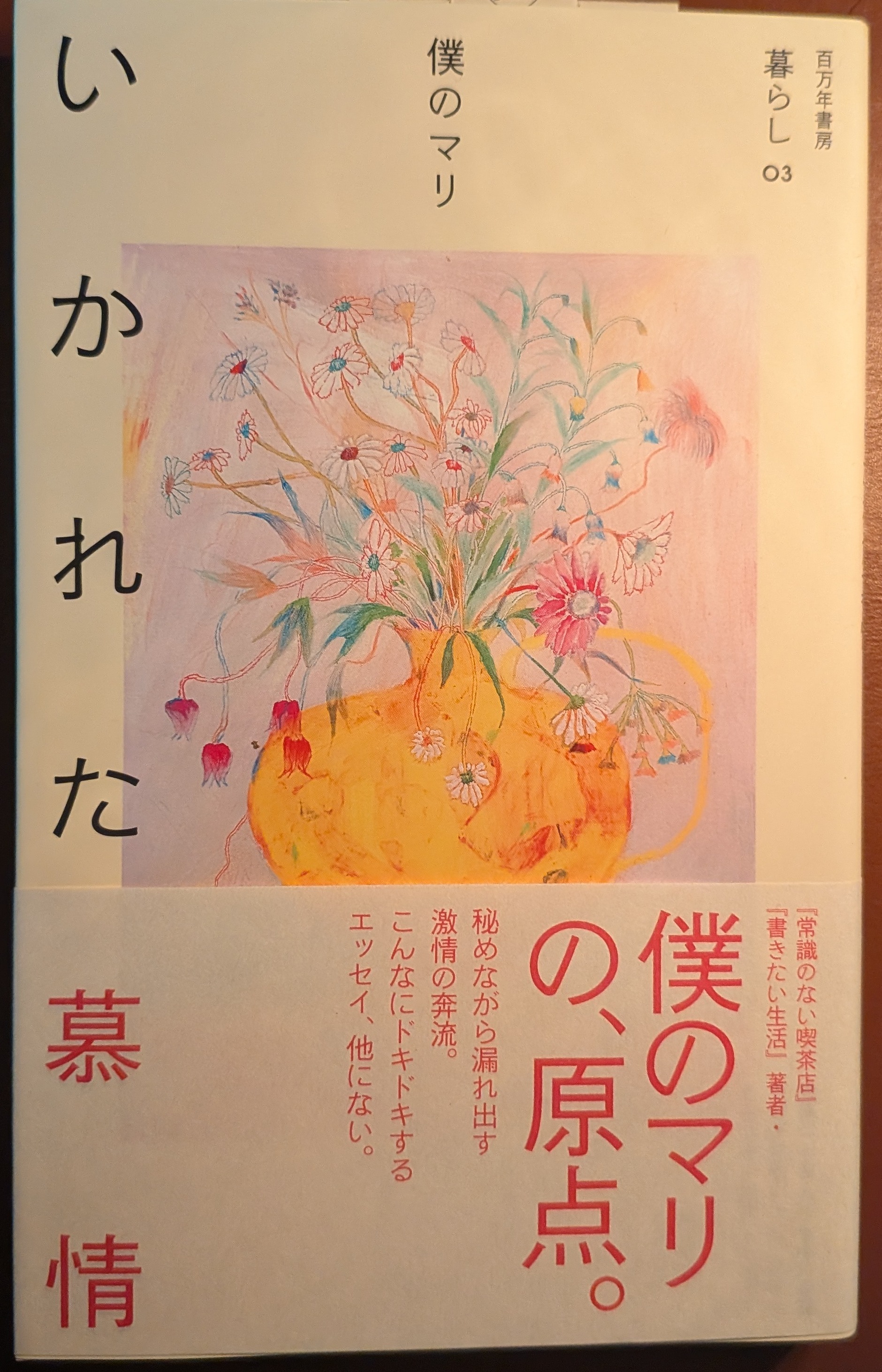 僕のマリ いかれた慕情 小説 文学 現代小説 青春の光と影 繊細な感情と葛藤を描く 表紙