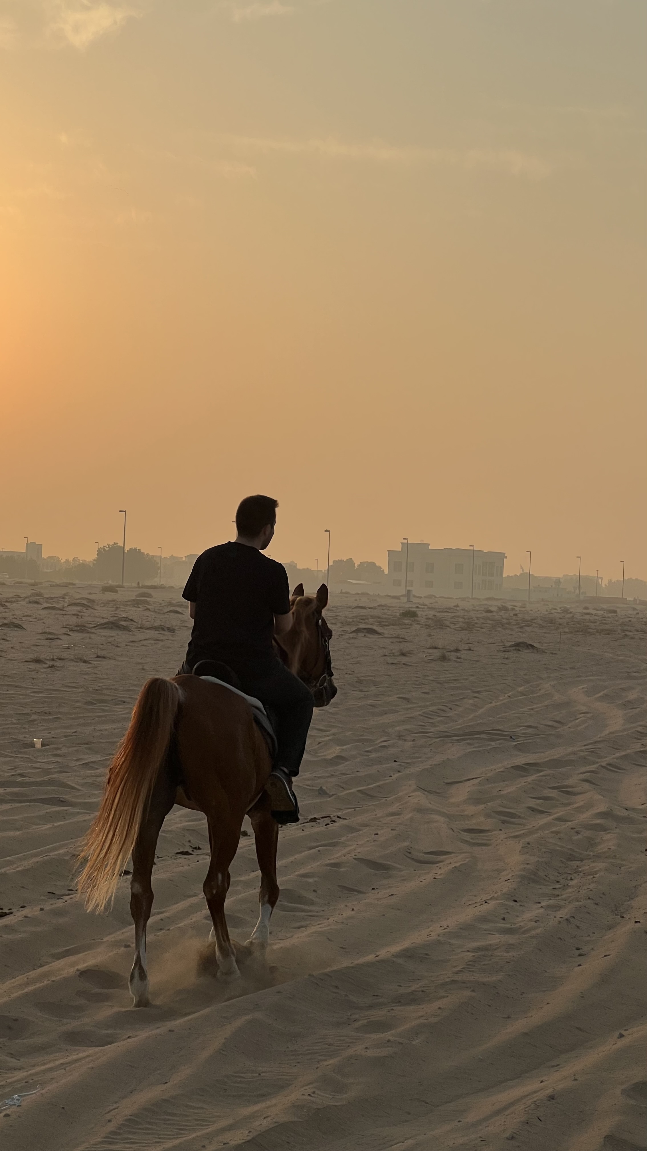 George - Digital nomad in United Arab Emirates