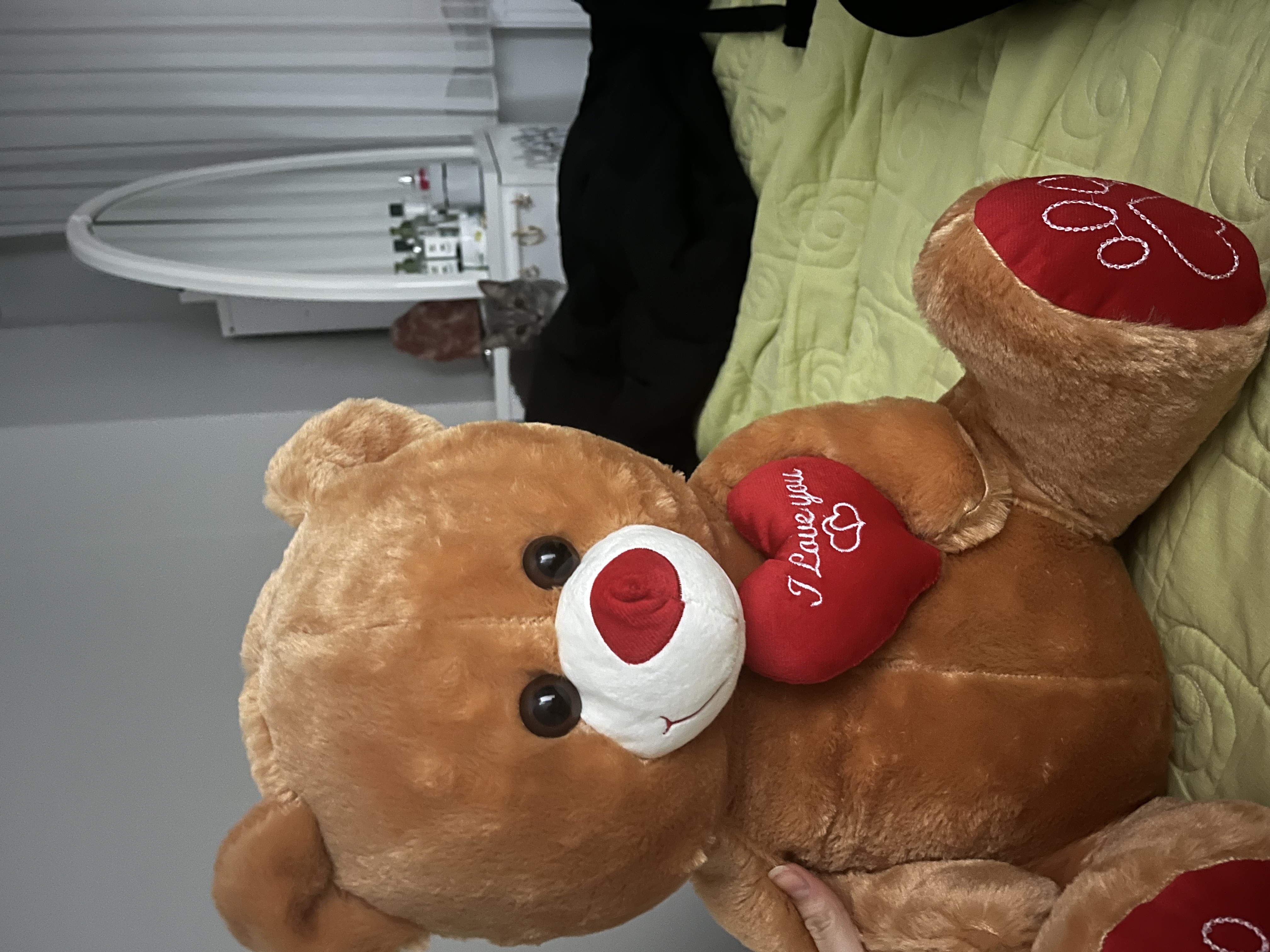 Fidesrkz - Digital nomad in Georgia