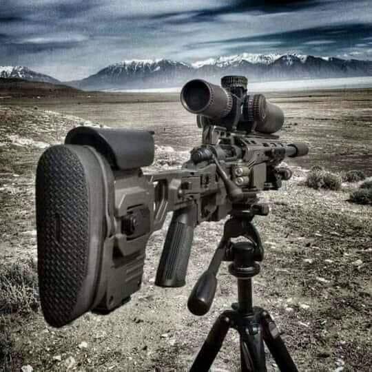 D42uyrzgyku9h11oufs8yg - Digital nomad in Egypt