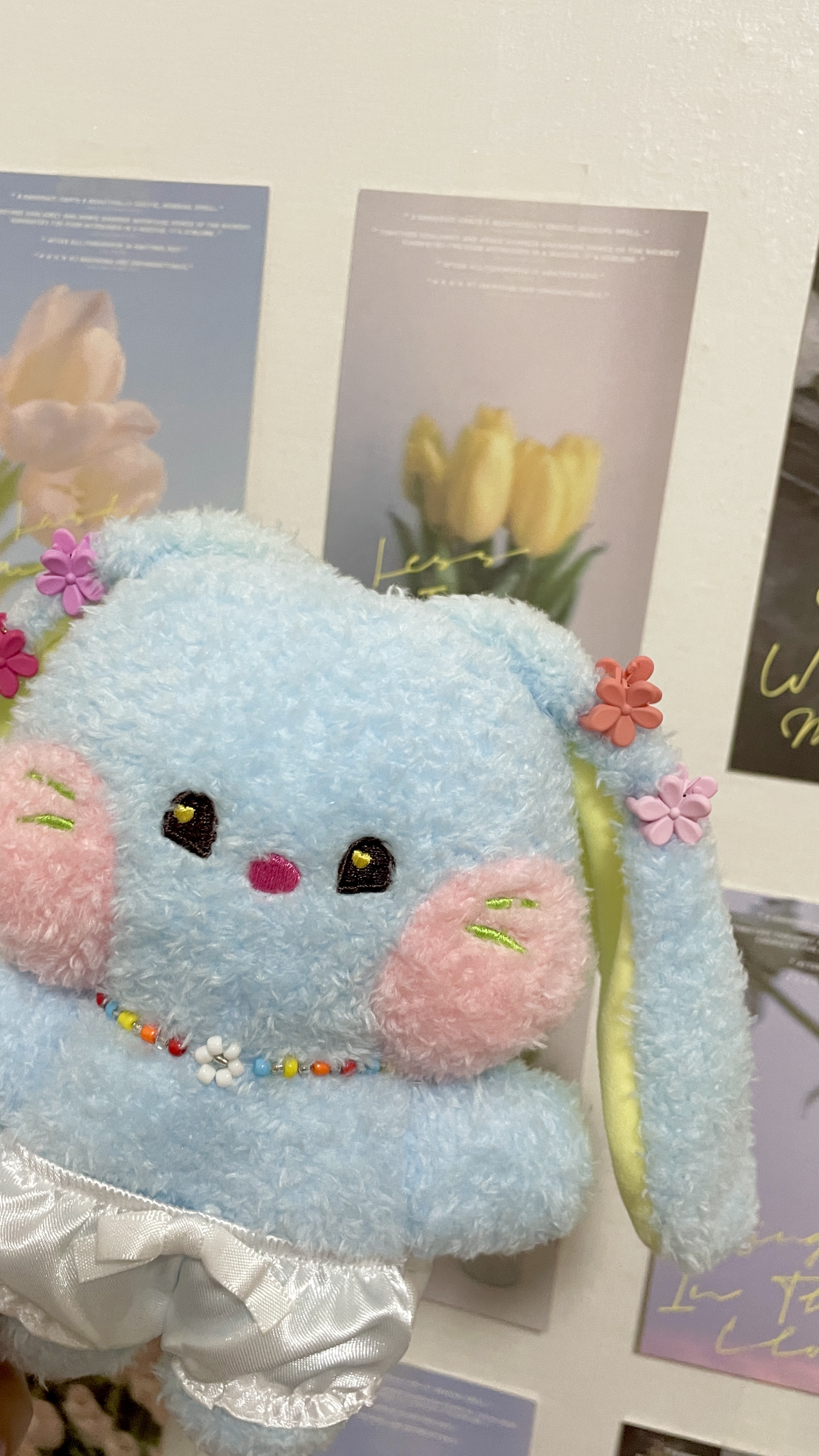 Erica Sung - Digital nomad in South Korea