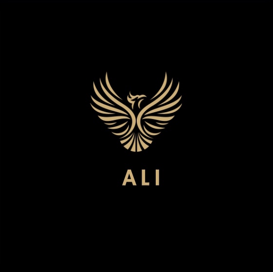 Ali Hasan  - Digital nomad in Pakistan