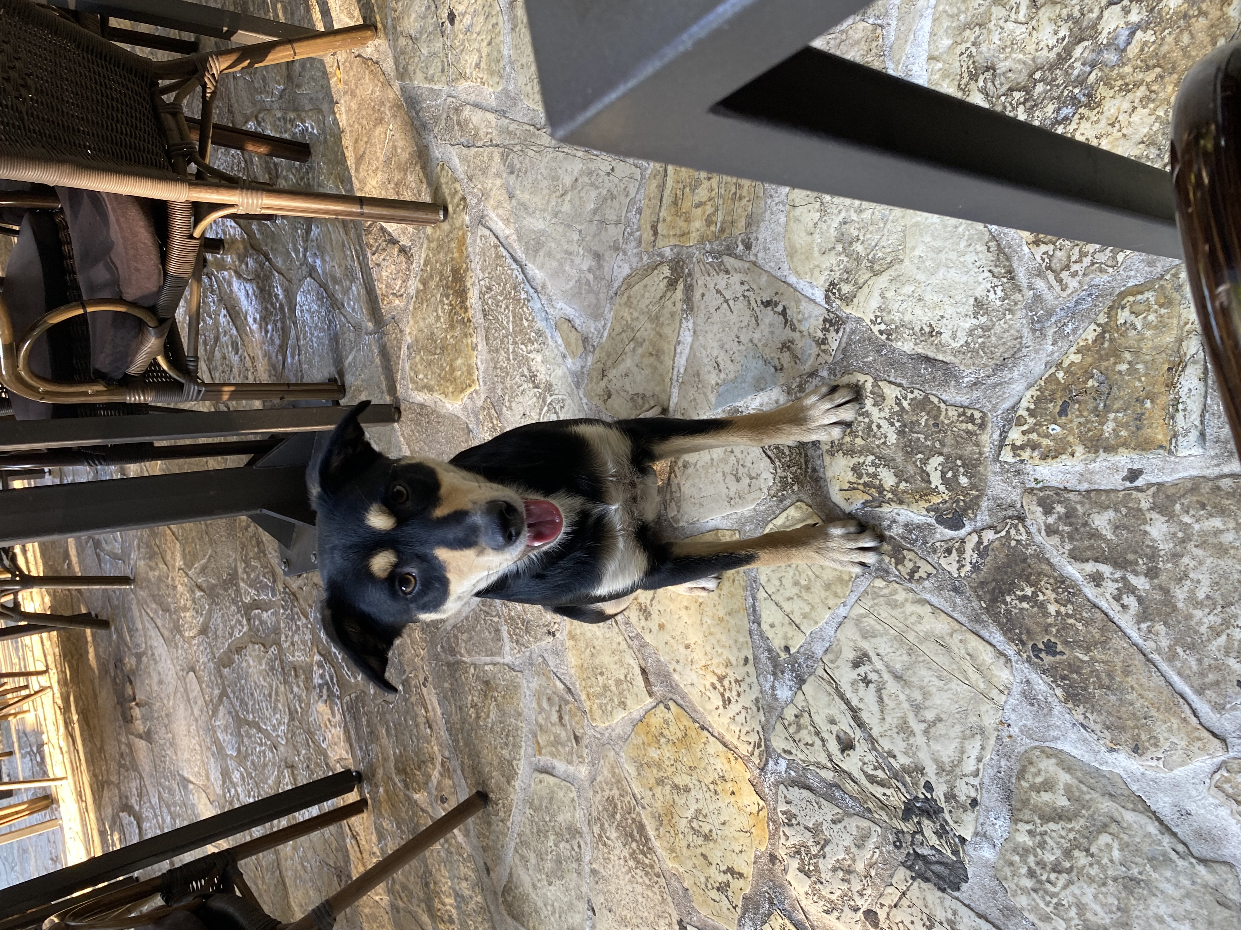 Hasan B - Digital nomad in Montenegro