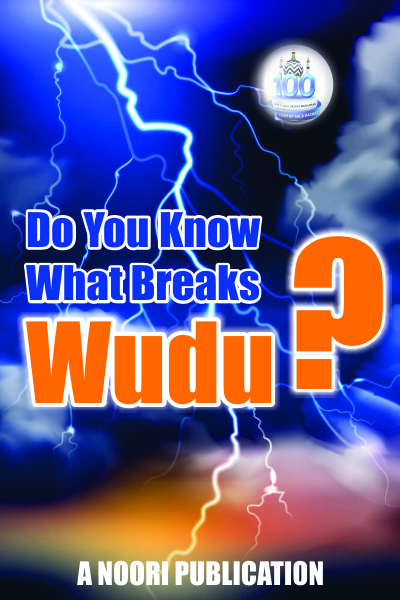 FACTORS THAT BREAK WUDU