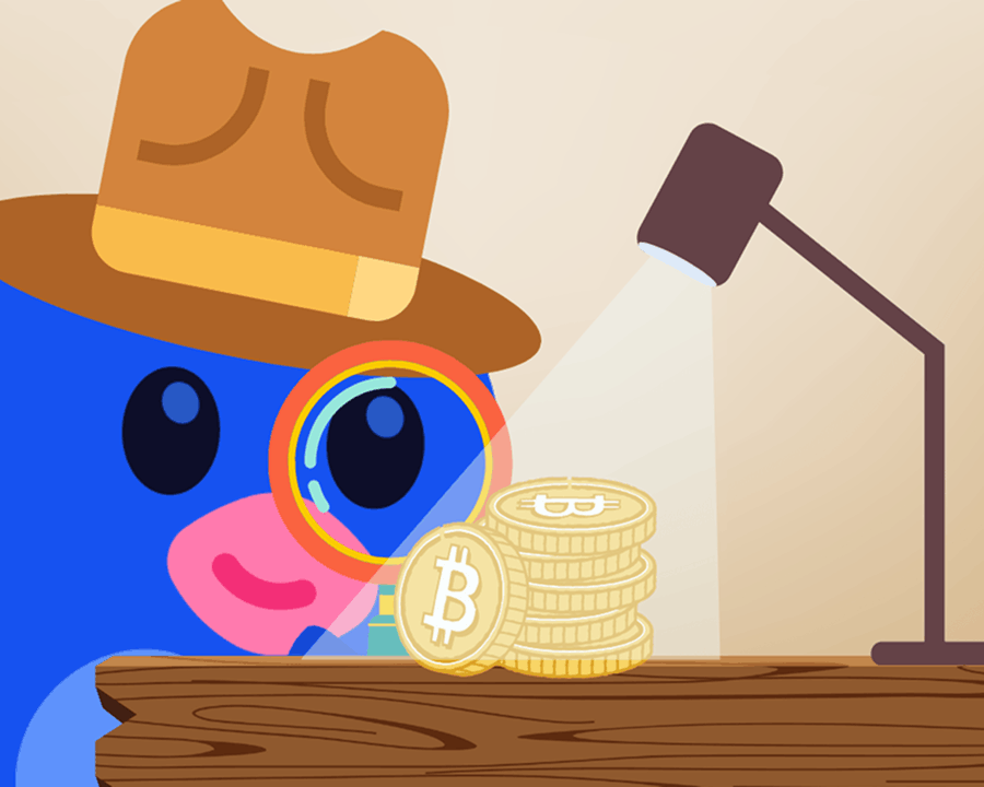 What is Divly? Nordic crypto tax tool review (2026)