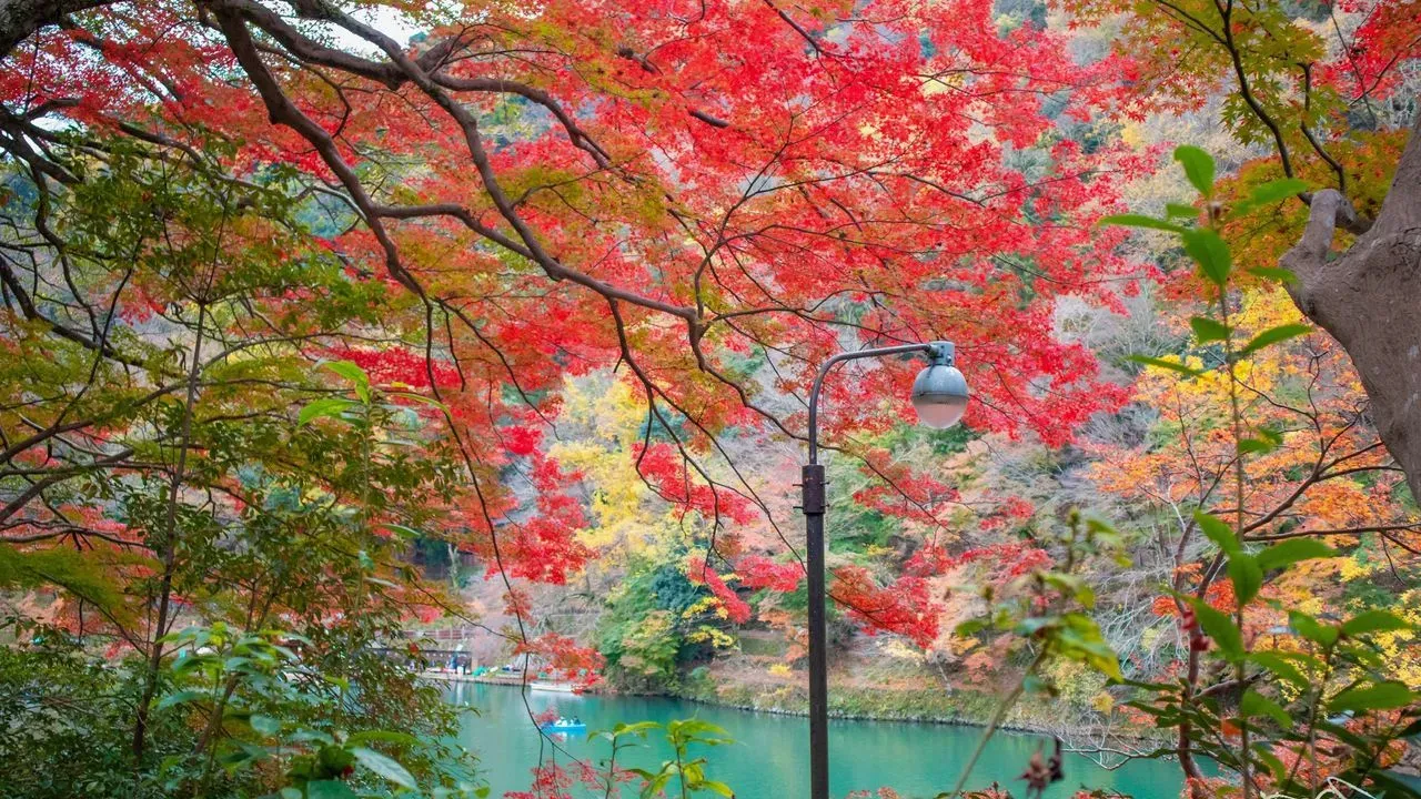 Sông Arashiyama 1