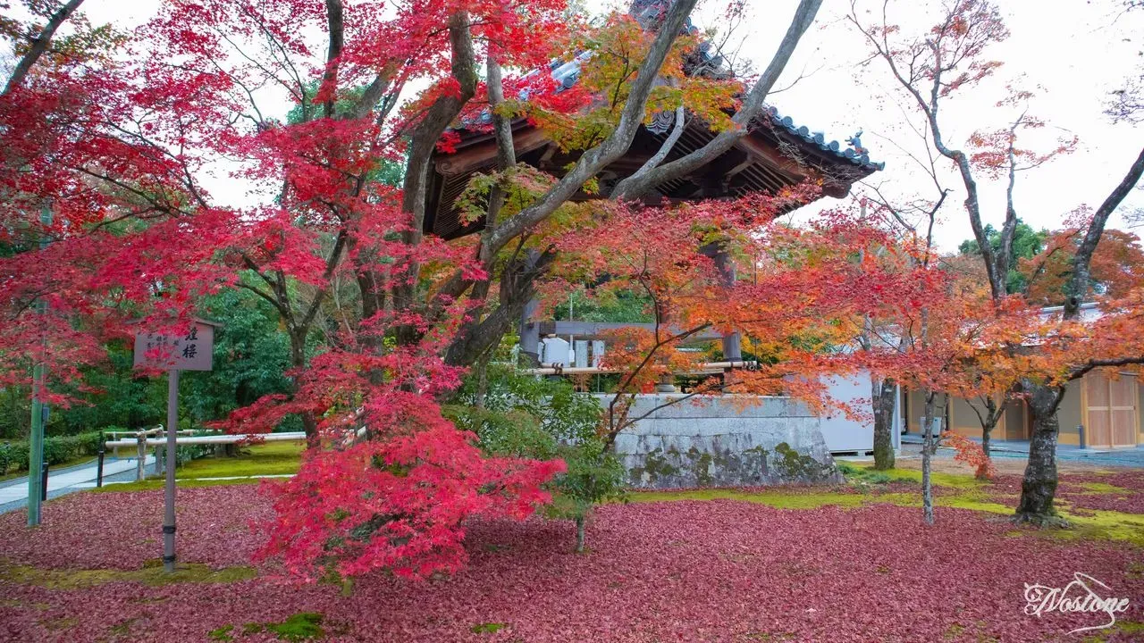 Chùa Kinkaku-ji 1