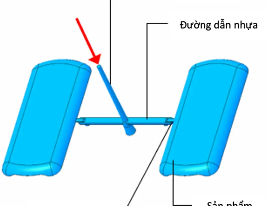 Tổng quan hệ thống dẫn nhựa