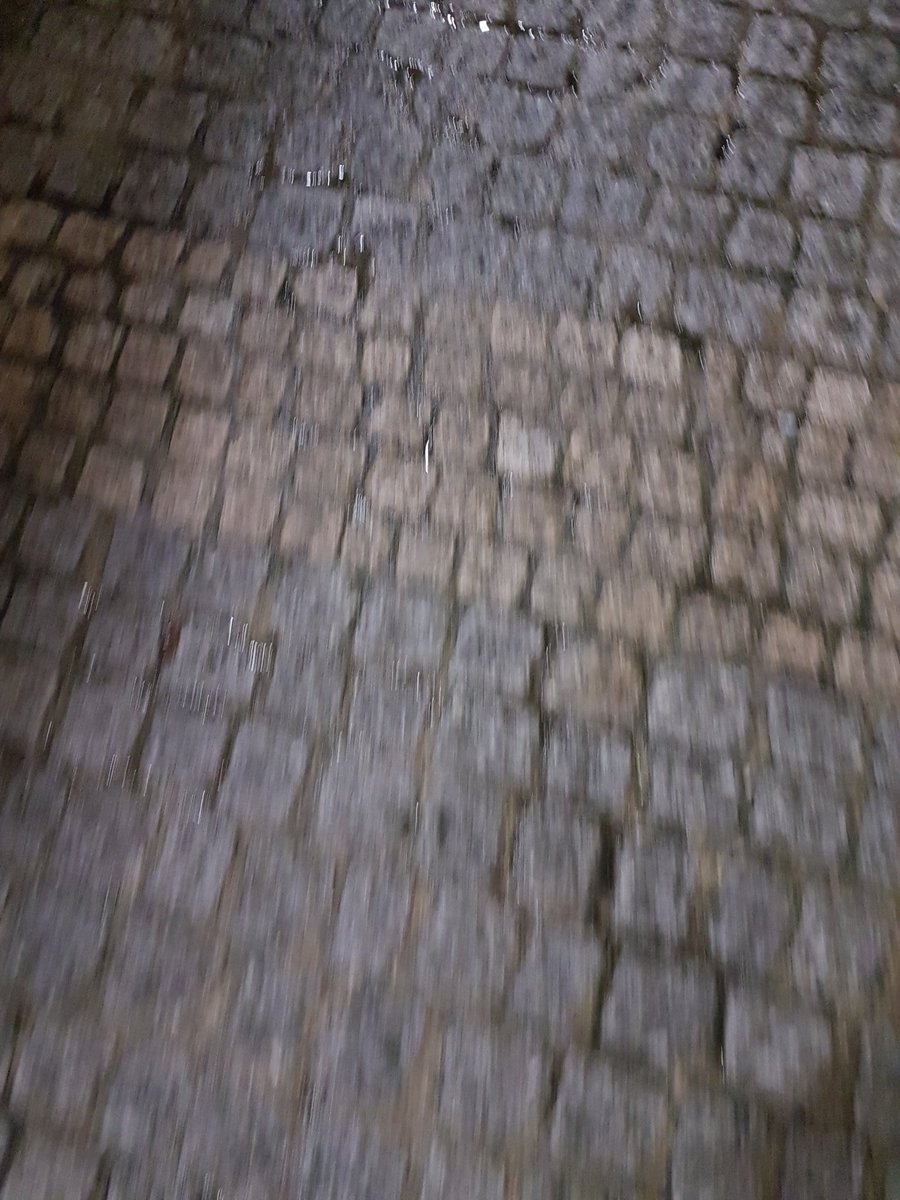 Pièce jointe : 1196518107201843200-EJri3X_XsAAP66b.jpg