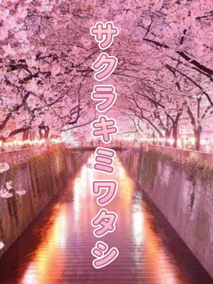 サクラキミワタシ 小説版