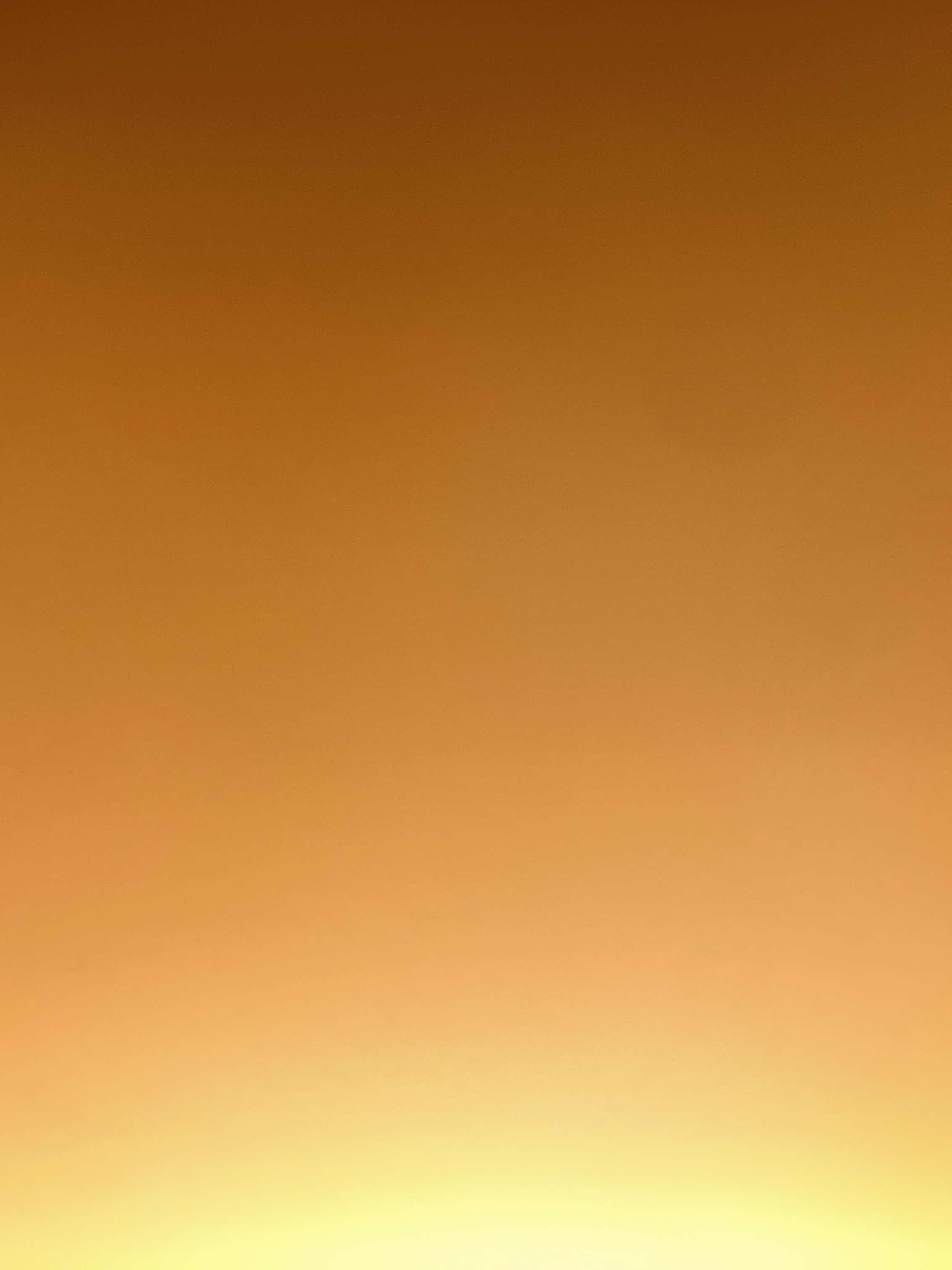 意味なんて 無いからさ