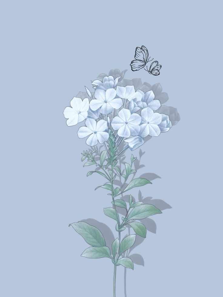 今更だけど自己紹介