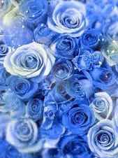 『そうまの隠し事を知らないⅡ』