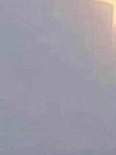 キリンの尻尾は掃除道具として使えそう