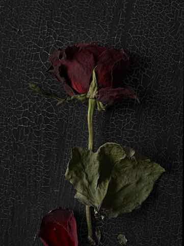 ｢仮面舞踏会｣