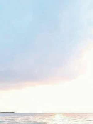 東に泣く朝よ。