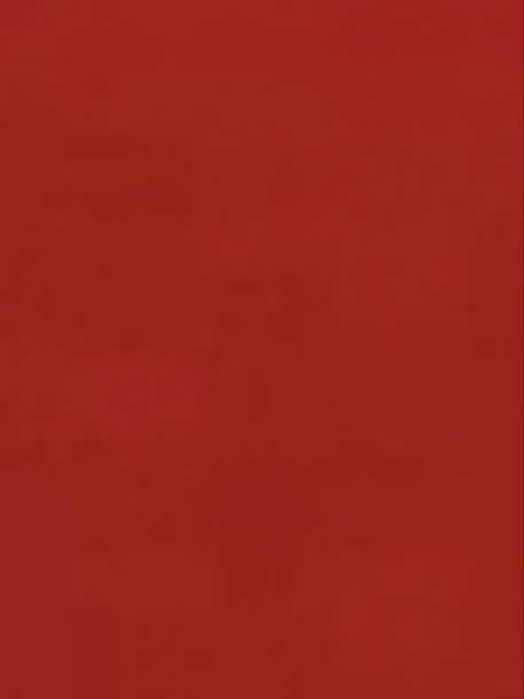 いつまで経っても君は夏に取り残されたまま。