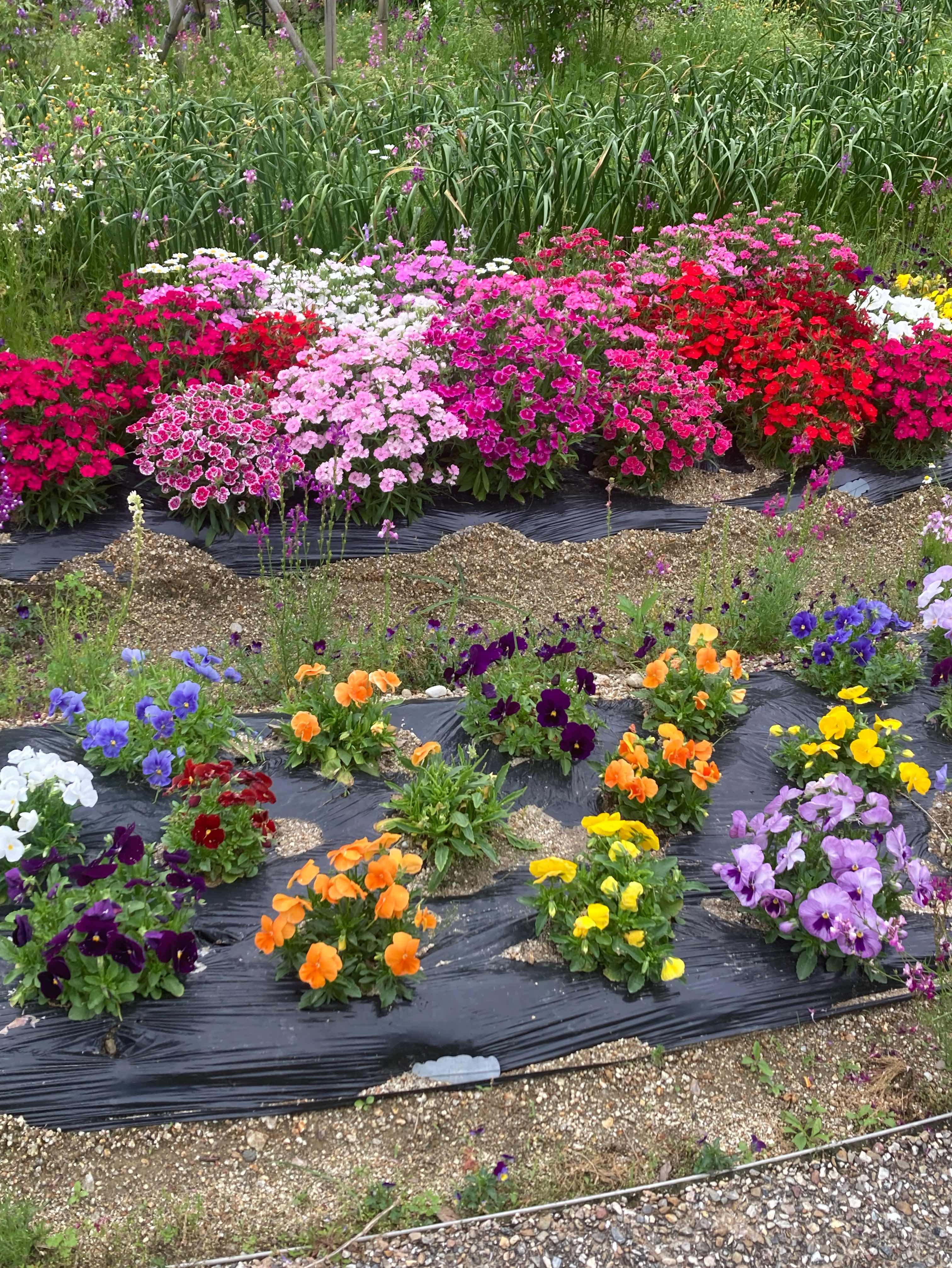 最後に待っているもの