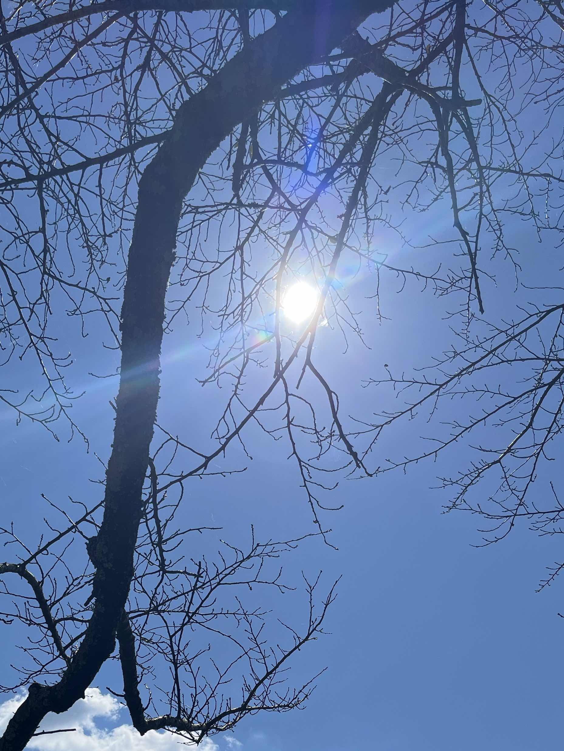 経験は人を成長させる