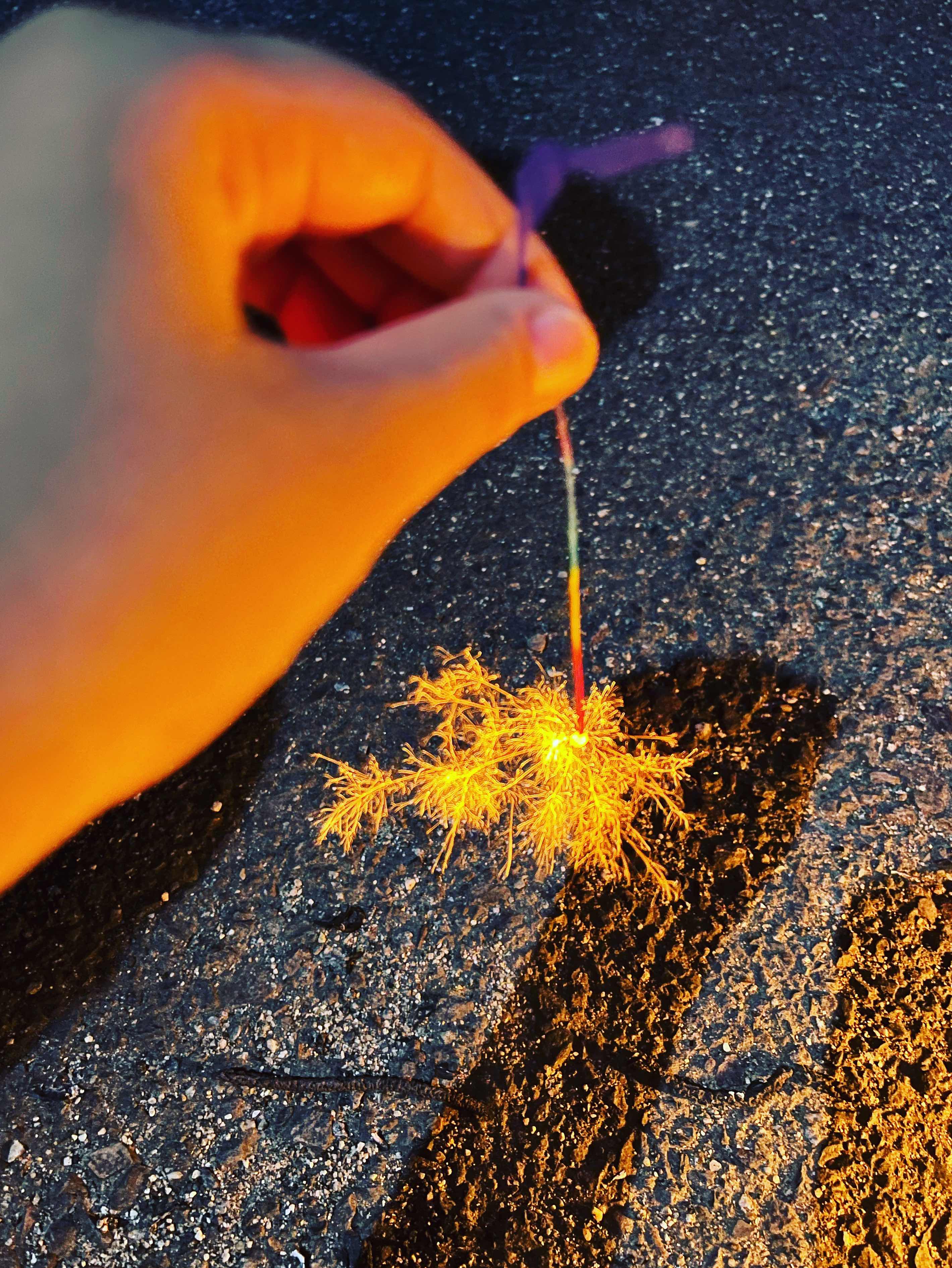 いじられキャラ