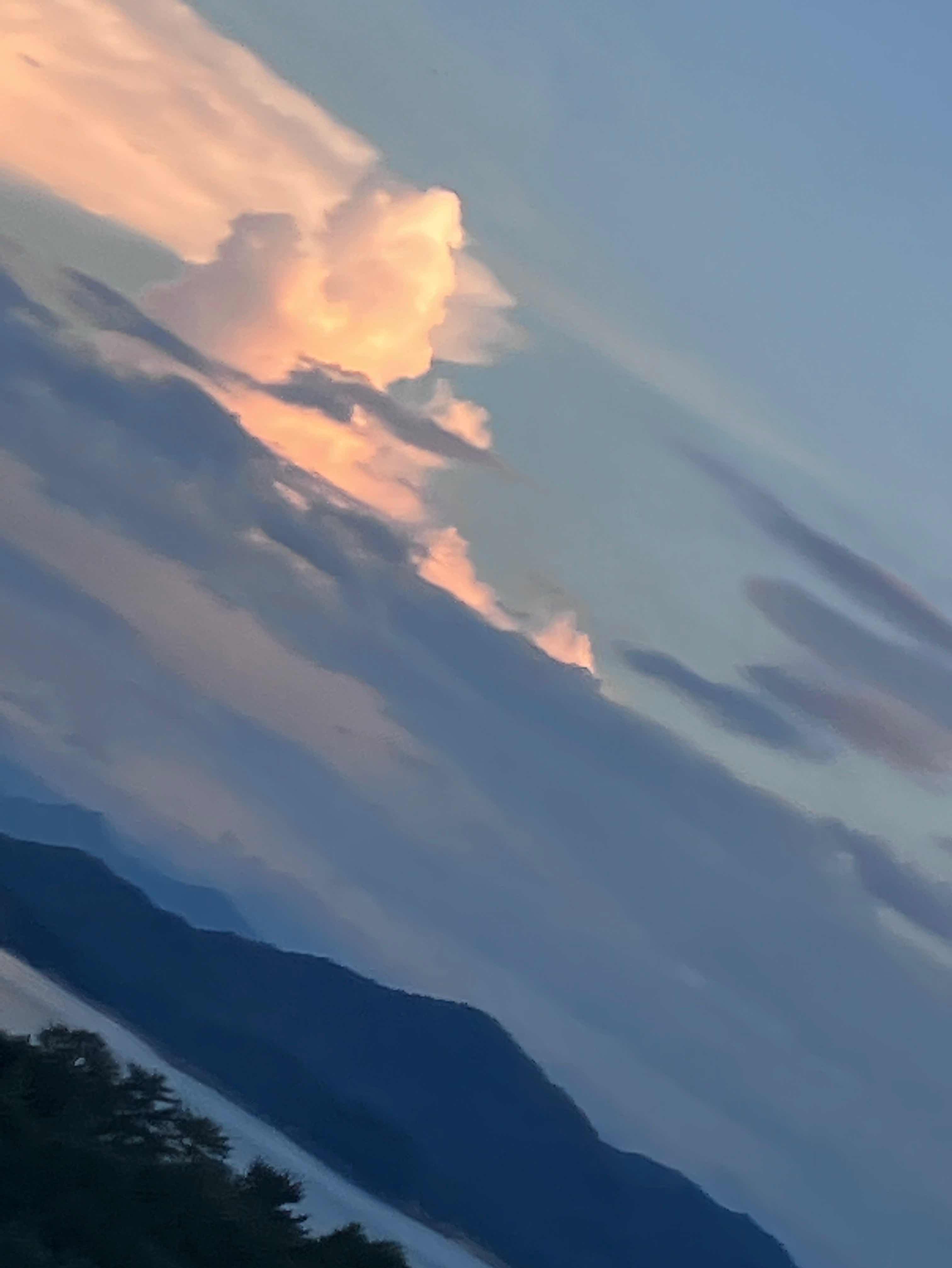 いつかの咲いた花は泣く。 <夢と幸>