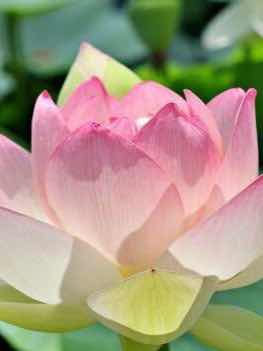 状況の変化　❶