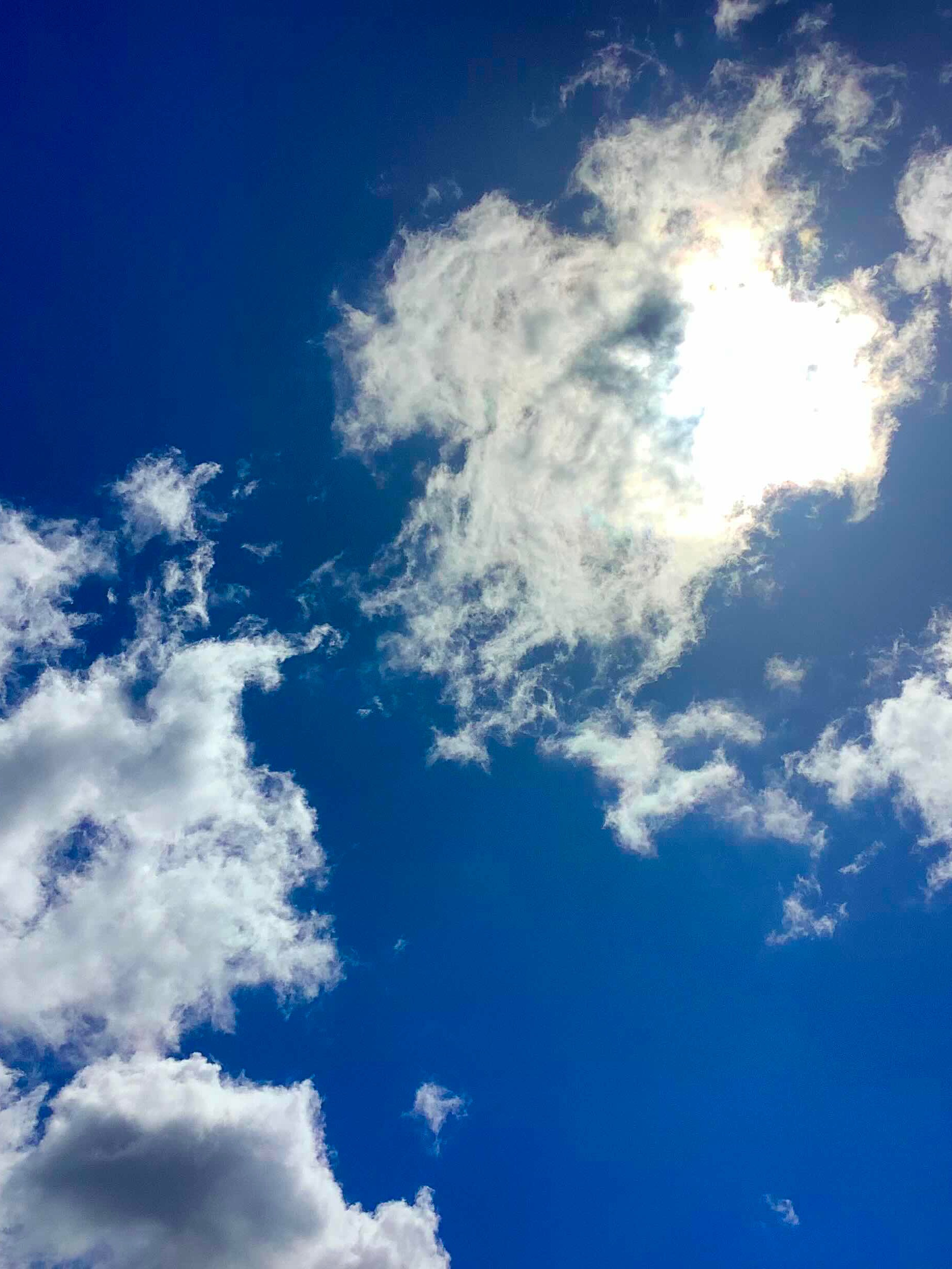 お元気で。