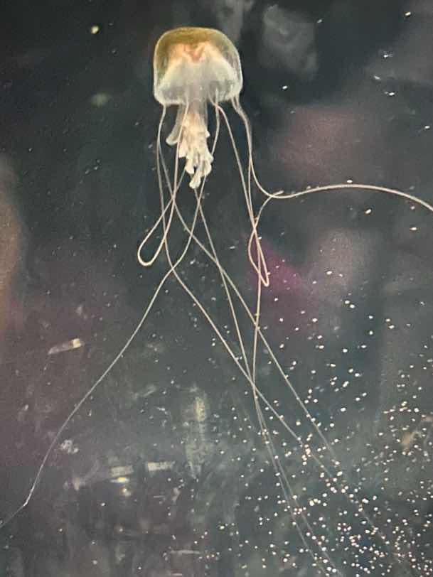 性別なんて無かったらな、笑