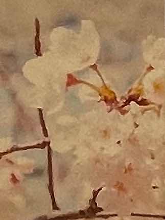 桜の咲かない春